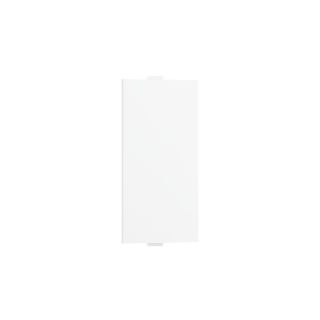 Blank Plate White REO Marvel